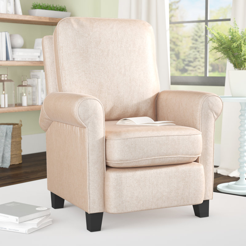 Winston Porter BONZY Manual Recliner Modern Arm Push Back Chair with